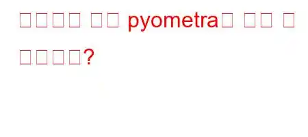 중성화한 개가 pyometra에 걸릴 수 있습니까?